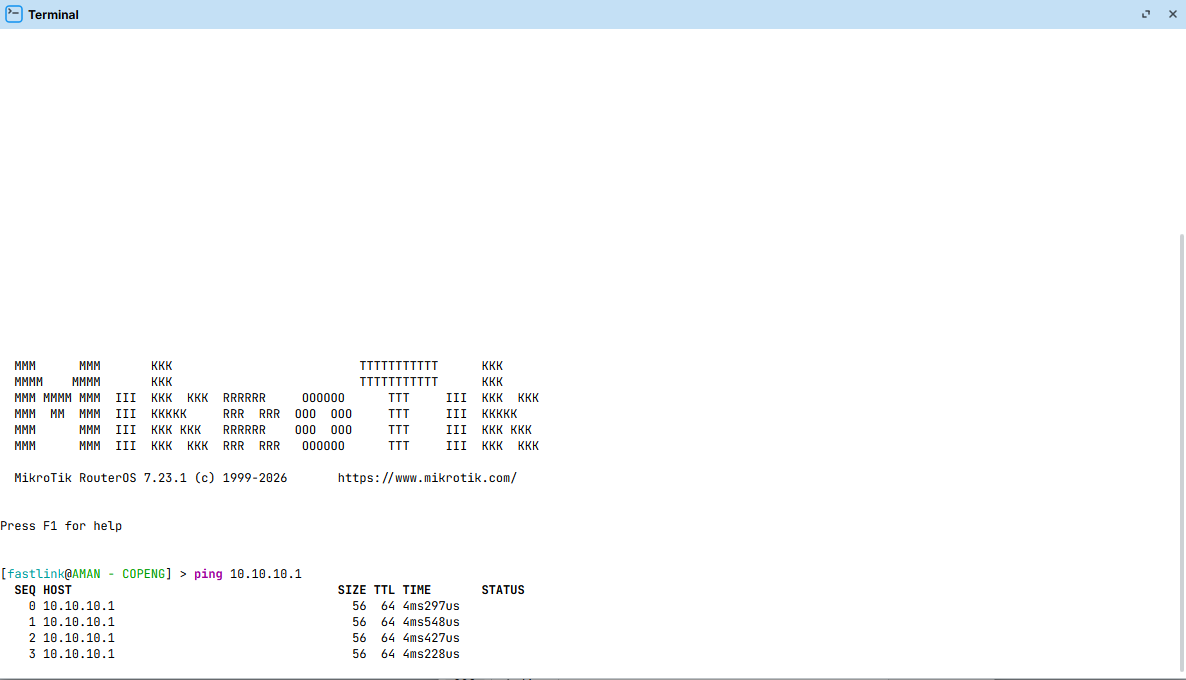 Hasil Ping Sukses di Terminal